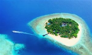 2024年海洋运输货物保险行业的市场发展现状及投资前景(图4)