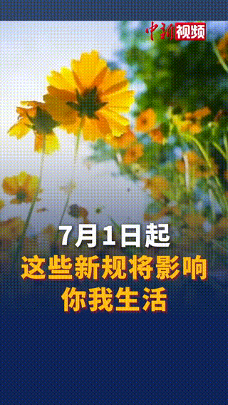 早安太空·网罗天下嫦六总师说一定要把国旗插上月球(图3)