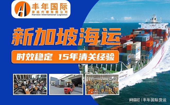 广州发货到新加坡要怎么选择货代公司(图2)