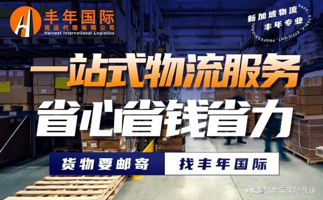 广州发货到新加坡要怎么选择货代公司(图3)