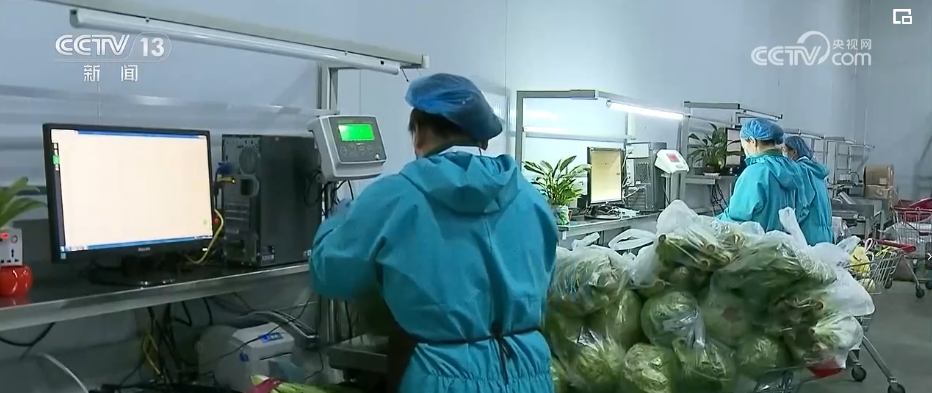 2024年政府工作报告释放高质量发展重要信号(图17)