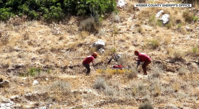 无人机行业纵览（2024年8月12-18日）物流、搜救、外卖、生态…(图2)