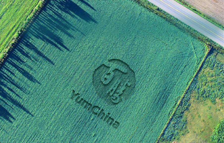 新区召开中小企业数字化转型对接活动暨工业领域支持政策宣讲会(图7)