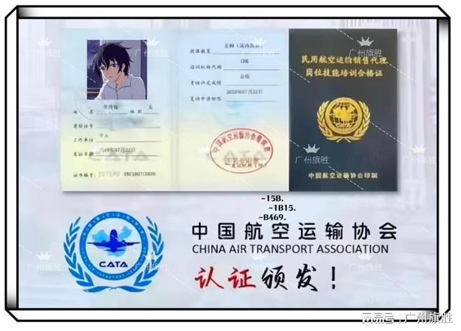 如何办理国际航协iata资质？新申请变更(图2)