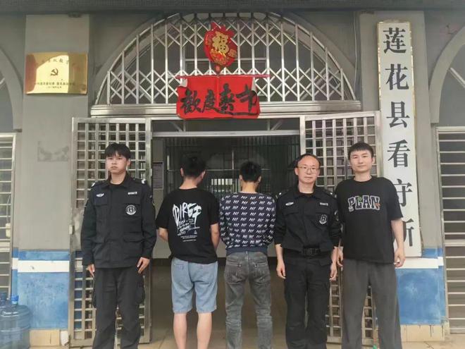 商家集体关闭“运费险”！有人8个月薅羊毛100多万元(图6)
