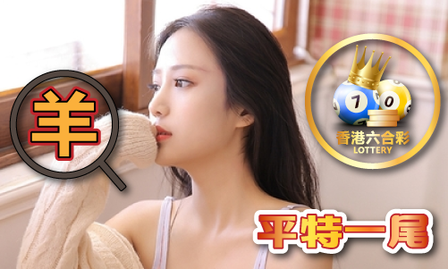 一点红资料王中王资料V(图1)