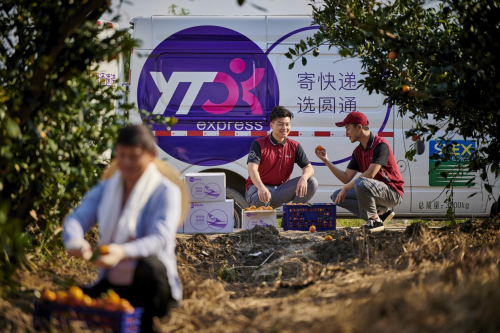 圆通速递：乘时代东风展物流宏图(图2)