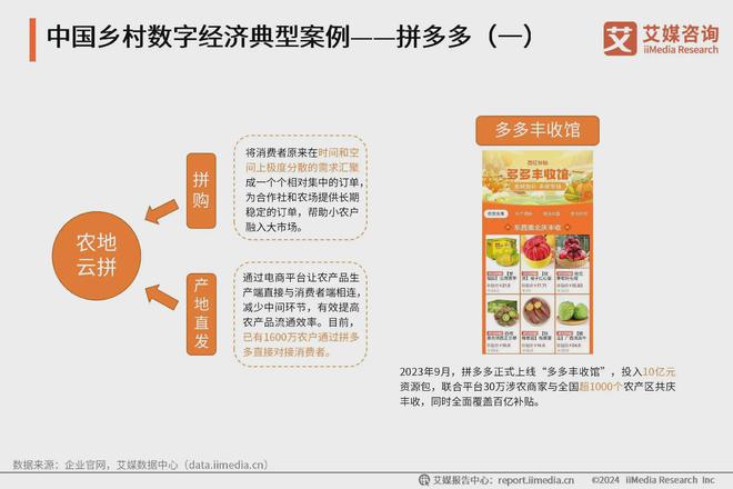 2024年中国乡村数字经济产业案例分析：电商平台赋能乡村农业发展(图2)