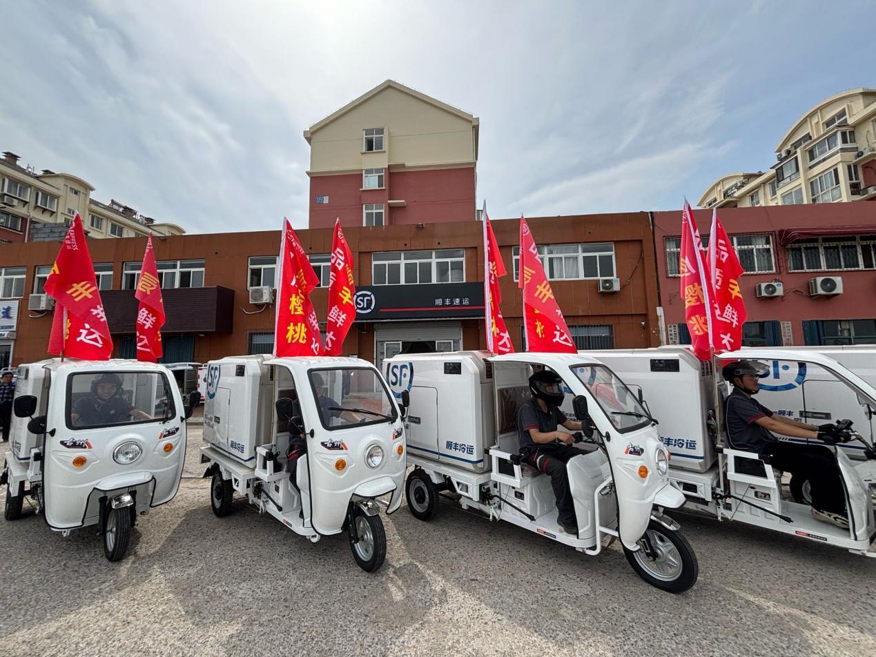 智慧物流引领发展鲁东顺丰烟台大樱桃专机2025年首航(图3)