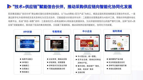 阳采集团入选2025数智采购供应链发展报告AI驱动标准化生态赋能新采购(图13)