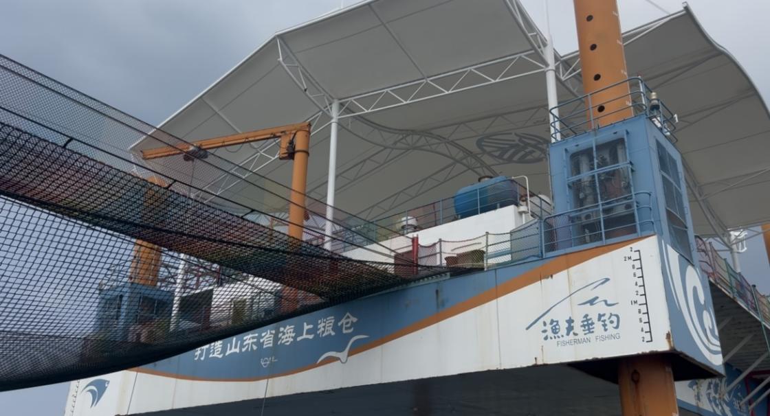 中国人寿烟台分公司：以保险之力赋能地方经济高质量发展(图1)