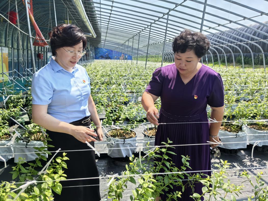 中国人寿烟台分公司：以保险之力赋能地方经济高质量发展(图2)