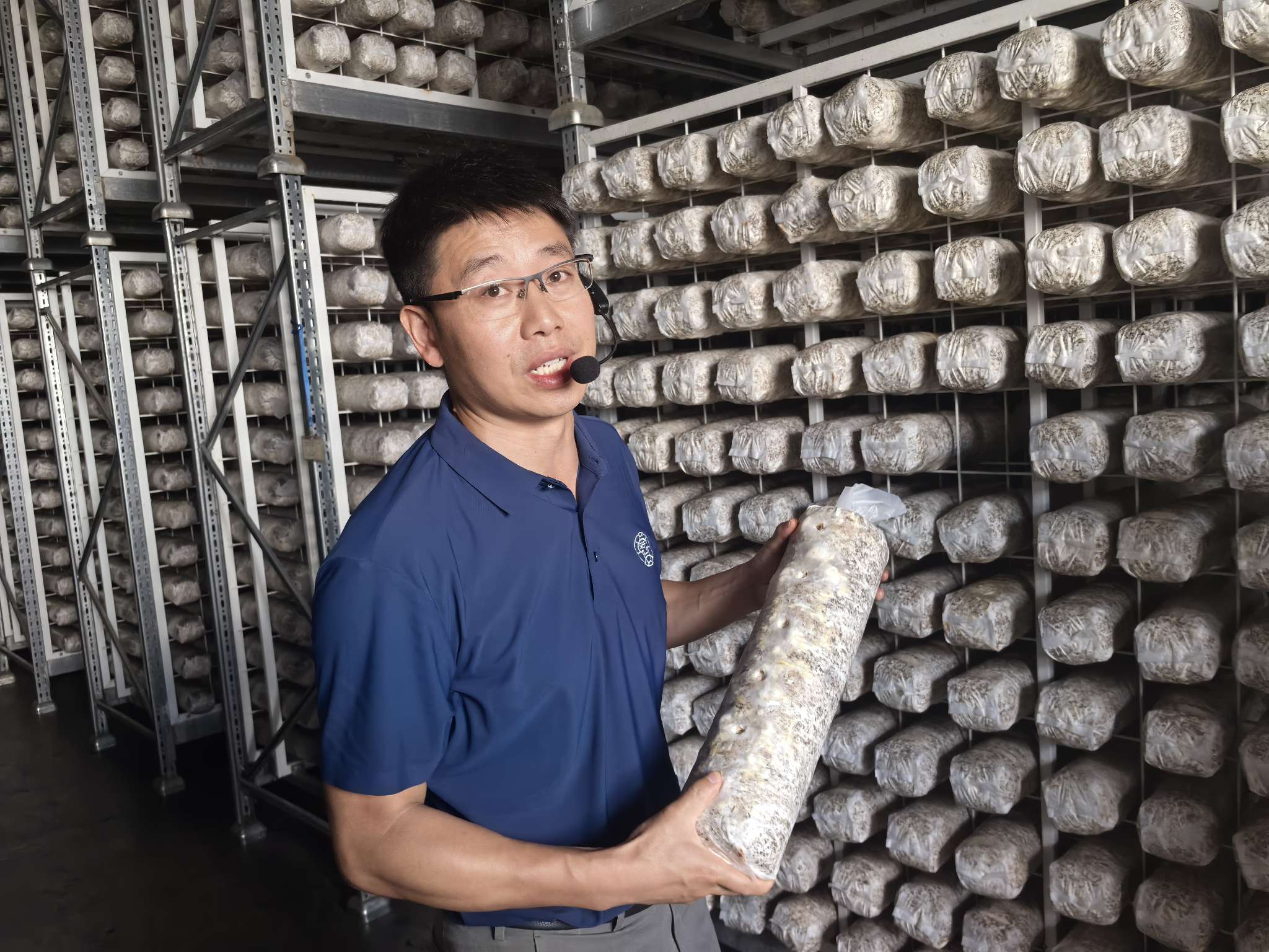产业融合激活发展动能！卢氏实践绘就乡村振兴新图景｜乡村振兴看河南(图3)
