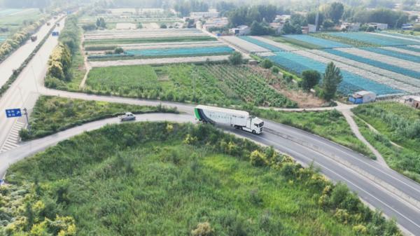 连续进入中国民营物流50强福佑卡车聚焦主业稳健经营(图2)