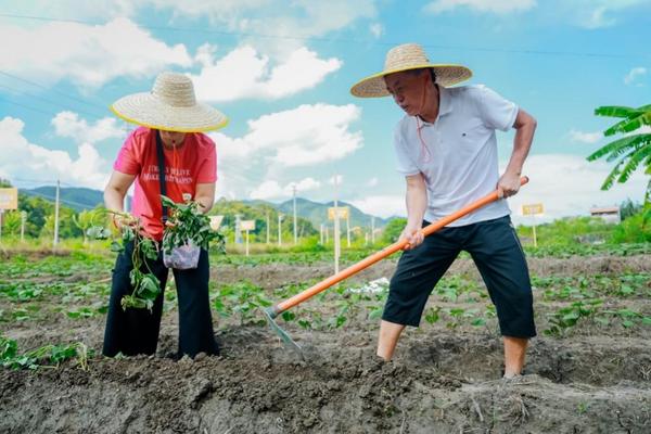 瑞众保险乡村振兴产业园开启第二季种植“聚宝盆”里再迎“西瓜红”(图4)