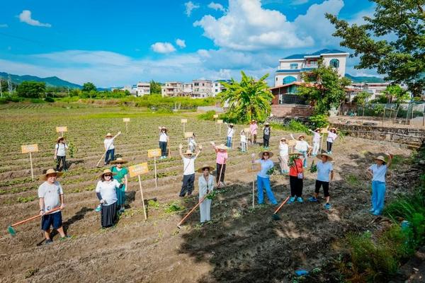 瑞众保险乡村振兴产业园开启第二季种植“聚宝盆”里再迎“西瓜红”(图2)