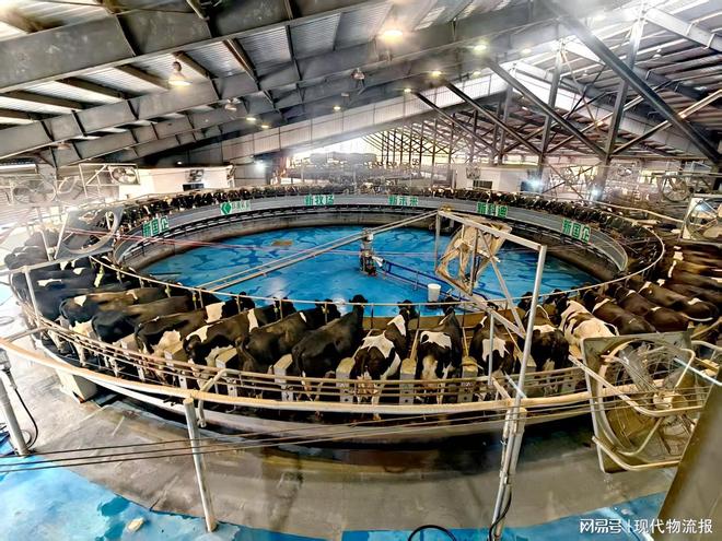 科迪食品集团：从国企改制到智慧物流体系构建的蝶变之路(图2)