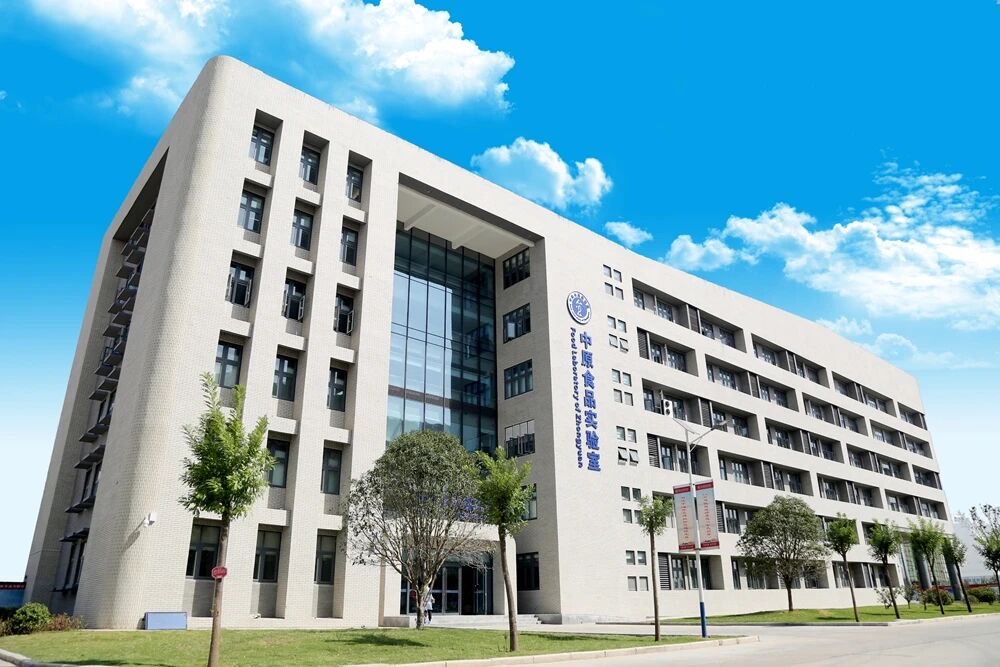 发力生产性服务业河南有啥“大招”？丨顶端观察(图2)