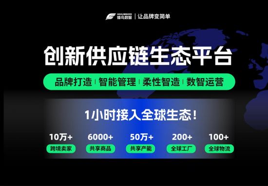 全球万亿赛道重构！中国跨境竞争迈向“供应链生态”时代(图8)