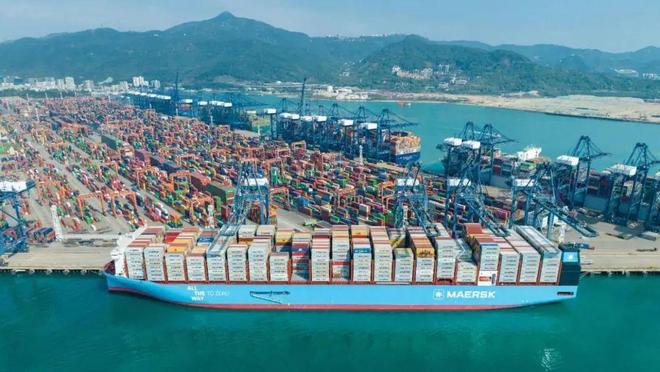 货代责任险一文全知道还不赶紧收藏起来(图1)