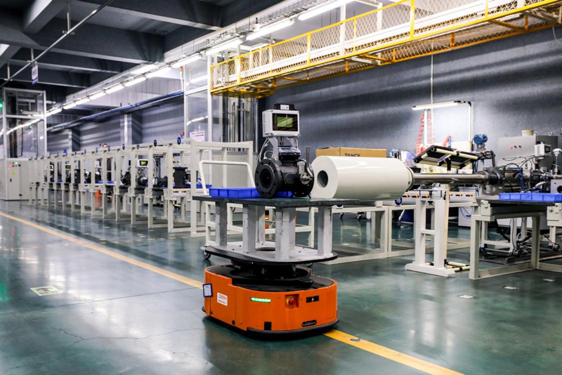 浙江苍南：山海之间“新”潮澎湃(图2)