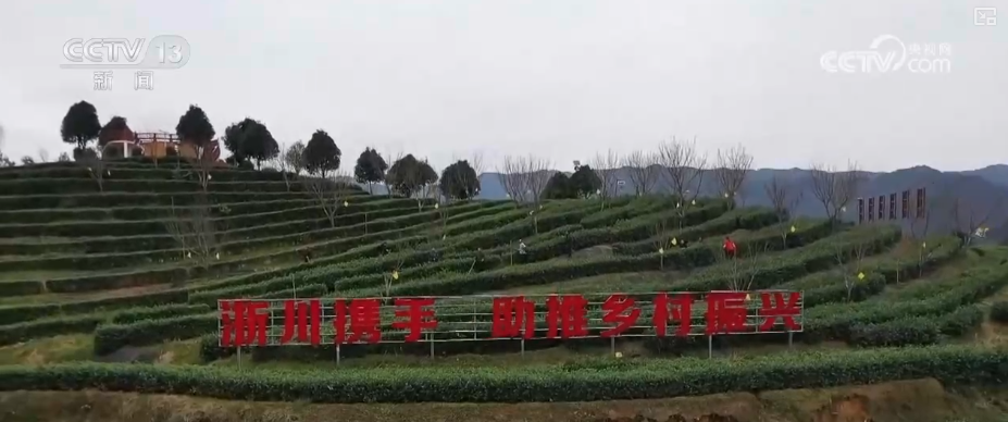 从政策到投资、从壮大新动能到“人工智能+”怎么干？(图11)