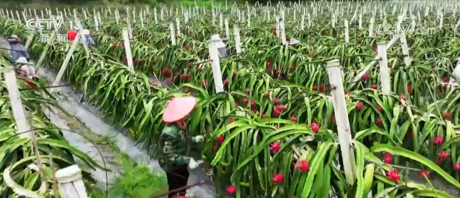 从政策到投资、从壮大新动能到“人工智能+”怎么干？(图12)