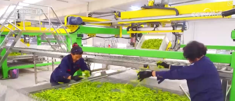 从政策到投资、从壮大新动能到“人工智能+”怎么干？(图16)