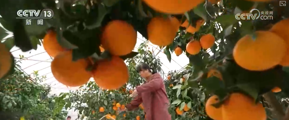 从政策到投资、从壮大新动能到“人工智能+”怎么干？(图17)