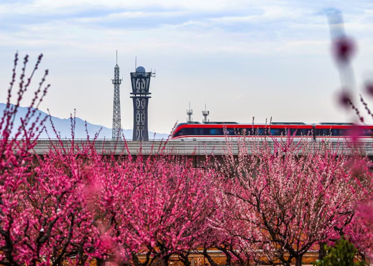 “十四五”发展成效巡展丨浙江：之江潮涌千帆竞奋楫笃行气象新(图3)