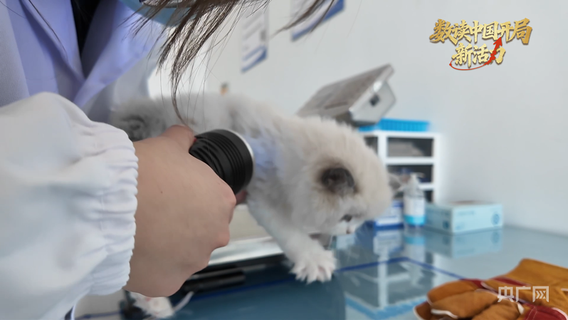 数读中国开局新活力丨“宠”出百亿级新赛道“它经济”全链升级(图2)