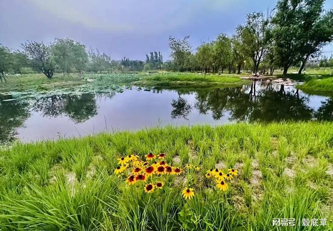 骑手和算法是什么关系？(图1)