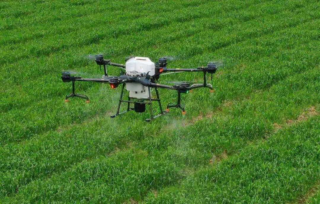 制造与服务双向奔赴！深圳服务业增加值全国前三(图2)