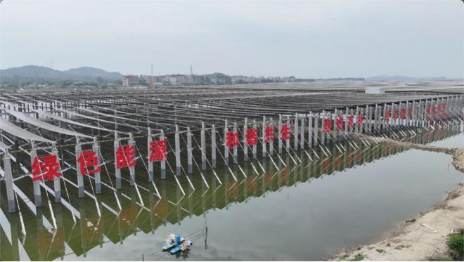 山海福建向新前行｜解码八闽新质生产力发展实践(图5)